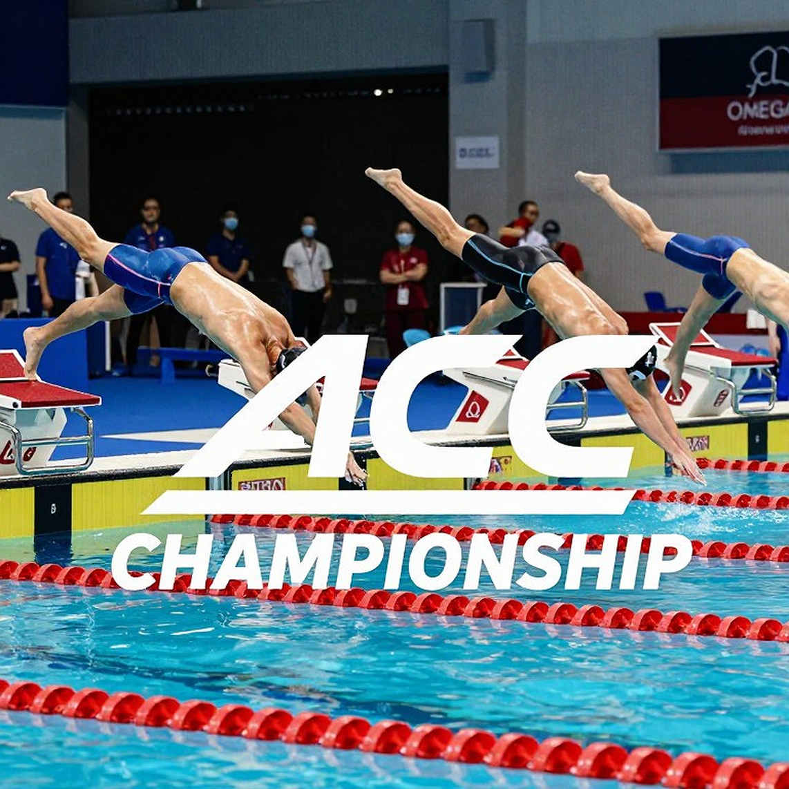 Đêm kỷ lục bể ngắn Nhật Bản: Matsushita phá kỷ lục thế giới 400m hỗn hợp, Taniguchi hạ kỷ lục quốc gia 50m ếch